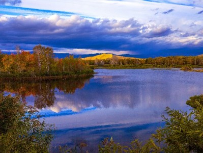 广东医保关系转出全流程指南：线上线下怎么办理？这些细节要注意