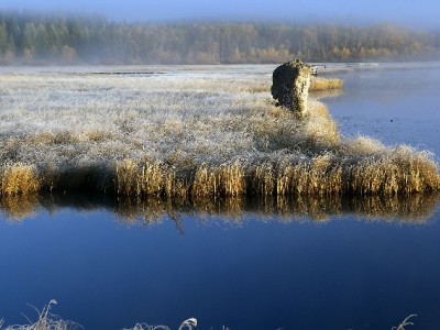 白条提现到账时间怎么算？安出掌柜帮你理清关键因素