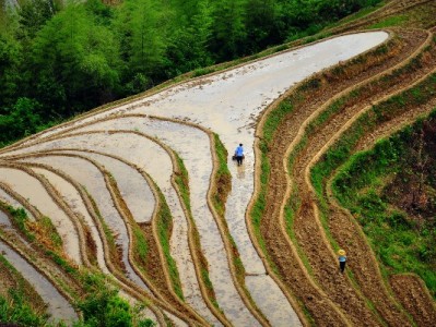 蚂蚁花呗灵活分期套餐+出财小神，助年轻人管好“月度钱袋子”