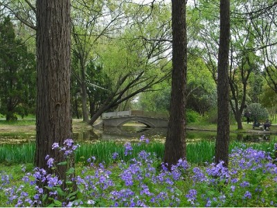 邀请商家开通花呗收款！富信掌柜简化流程+三大福利助经营升级