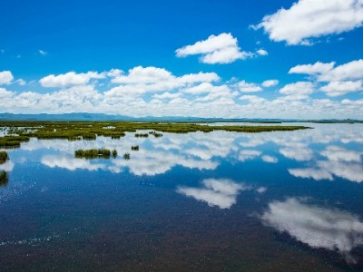 网易白条套现黑话大起底！正规平台"出财小神"教你合法用额度