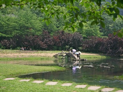 萍乡“白条套现”暗藏陷阱！这些风险你可能承担不起