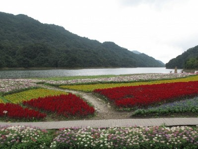 冰爽一夏新玩法！冰激凌花呗套餐联手出财小神开启"边吃边赚"模式