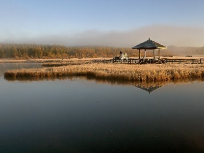 借呗花呗可重新分24期！缓解还款压力的实用攻略