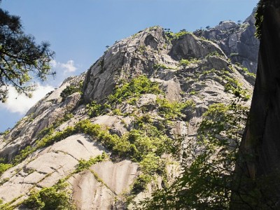 羊小咩额度提现全流程攻略：出财小神助力安全操作指南