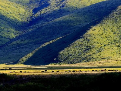 出财小神解小微难题：花呗收款实时到账 小商家经营更从容