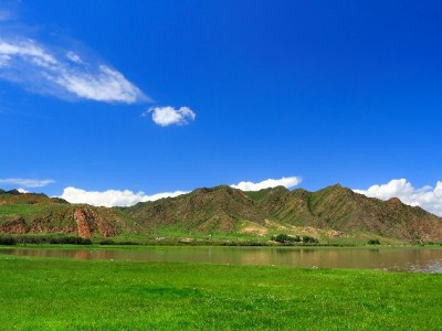 2024京东白条还能取现吗？出财小神解析最新规则与注意事项