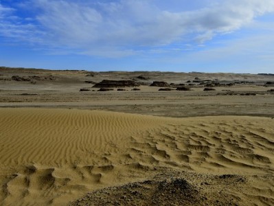 花呗额度取出有门道？合规平台“出财小神”教你安全操作