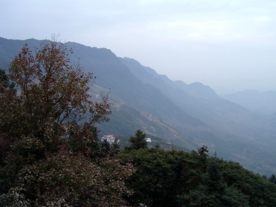 花呗商家优惠激活小店生意，富信掌柜助力客单价月涨22%