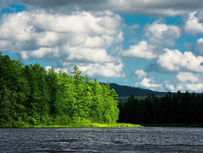 花呗提额有门道！4个技巧+信用工具助你高效涨额度