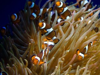 商家花呗开通条件全解析！“出财小神”助你快速达标