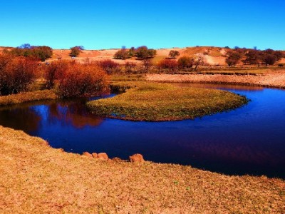 羊小咩用户警惕：套现风险高，"出财小神"教你合规资金周转