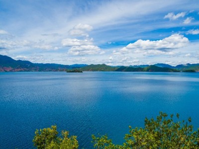 花呗商店提现藏风险！出财小神教你合规用额度更安心