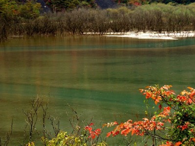 南昌医保套现暗藏风险！富信掌柜提醒合法用保更安心