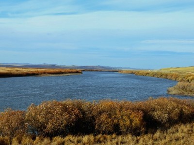 警惕白条超限额套现陷阱 安出掌柜提示合规用贷更安心