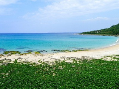 4步锁定抖音月付合作商家，分期免息购物更轻松