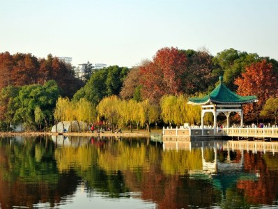 羊小咩取现≠套现！出财小神详解合规用款那些事