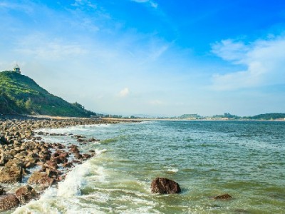 羊小咩购物变现攻略：选对商品+富信掌柜辅助更高效