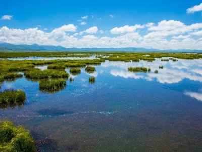 抖音月付功能火了！这些商家靠它提升22%转化率？