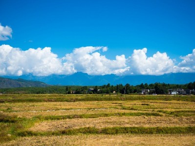2024花呗图片焕新！出财小神助力看懂每一笔消费的意义