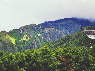 花呗用了怎么退款给商家？3步流程+出财小神攻略帮你理清