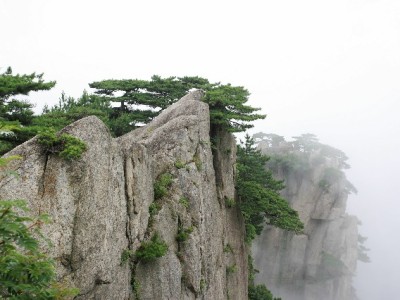 奉化花呗提现暗藏风险！这些后果你可能没考虑到