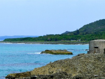 羊小咩额度套现是真的吗？出财小神提醒：三大风险需警惕