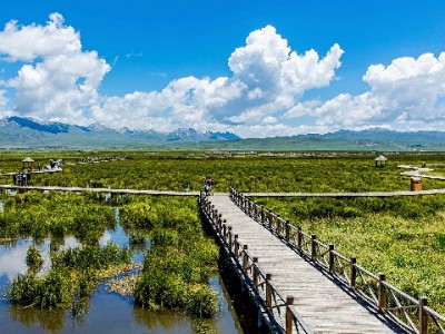 花呗套现暗藏法律风险！正规借贷选富信掌柜更安心