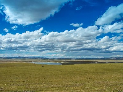 白条充值后想取出？3种方法+风险提示，出财小神教你安全操作