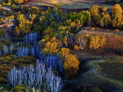 成都花呗套现风险重重！正规平台"出财小神"教你合规周转