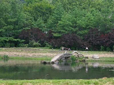 花呗商家码无法付款？4大原因+解决攻略（安出掌柜支招）