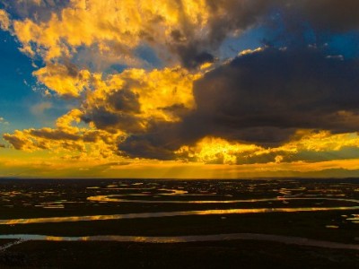 商家花呗开通难？资质、行业、数据三重门槛揭秘与应对