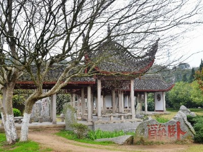 花呗提现下载需谨慎！安出掌柜等工具使用安全指南