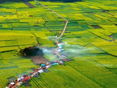 花呗商家收款有奖励吗？日常激励+工具助力，多收多赚攻略