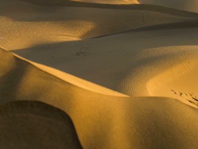 花呗能提现到银行卡吗？正规渠道看“安出掌柜”怎么说