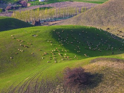 “淘宝‘合作套花呗’暗藏陷阱！这些风险你必须知道”