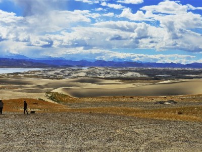 寒冬入手Buff手套无压力？出财小神+花呗助你轻松焕新