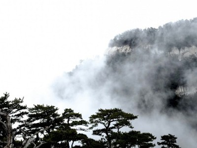淘宝商家开通花呗全流程指南：条件、步骤与注意事项详解