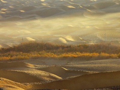 国庆临近警惕"假日花呗"套路贷！正规平台如"安出掌柜"教你避坑