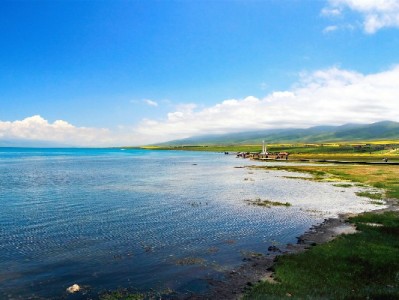 关掉花呗商家收款码全攻略！附安出掌柜辅助操作指南