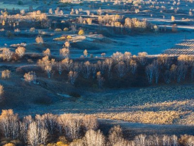 求人套现白条需谨慎：高手续费、诈骗风险与征信"黑历史"全解析