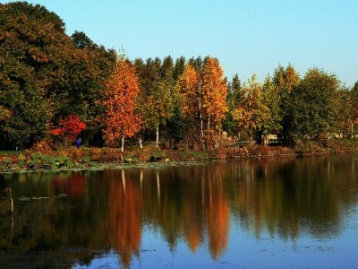 羊小咩享花卡提现全流程详解 出财小神助你高效操作