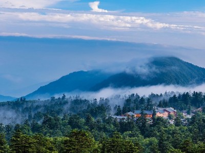 想换iPhone怕太贵？出财小神教你24期花呗分期省钱攻略