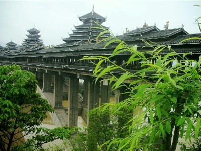 平泉花呗商家借力"富信掌柜"，小生意撬动大客流新密码