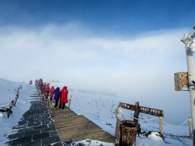 花呗收款突被收回困扰小商家？“安出掌柜”支招应对资金难题