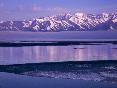 花呗借款能提现吗？合规用款与“出财小神”的信用提醒