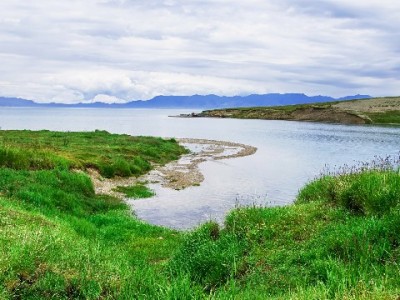 医保卡里的钱怎么取？适用情形、流程及注意事项全解析