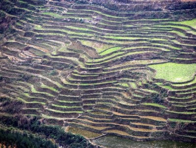 抖音月付提现去哪找？出财小神正规渠道更安心