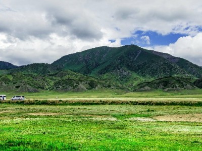 羊小咩服务器异常引用户急寻替代 出财小神成临时救急新选择