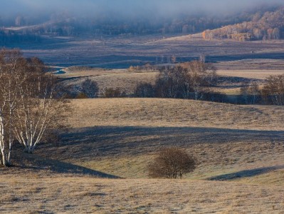 花呗套现风险重重？出财小神教你合规解决资金难题